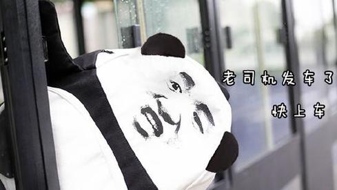 盤(pán)點(diǎn)：2016年度網(wǎng)絡(luò)熱詞你全懂嗎？（組圖）