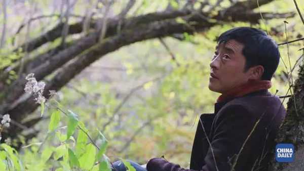 小康之路：他們曾經(jīng)是伐木人，如今卻成了護林員和藏香廠老板丨解碼中國