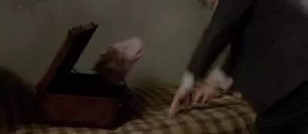 《神奇動物》里都有哪些神奇的動物？