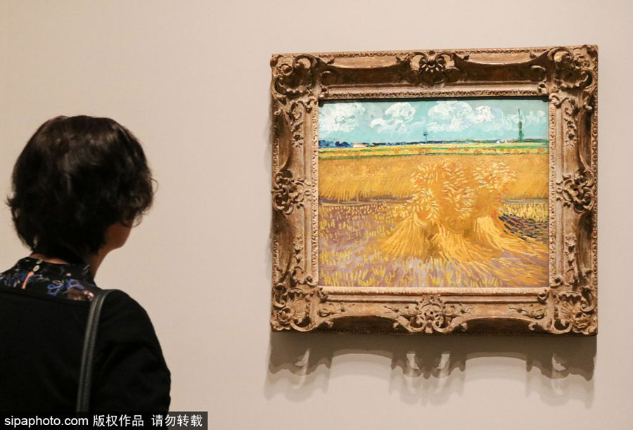 全球獨家！世界上首個梵高個人作品展在墨爾本舉辦（組圖）