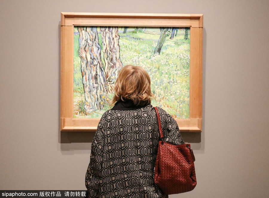 全球獨(dú)家！世界上首個梵高個人作品展在墨爾本舉辦（組圖）