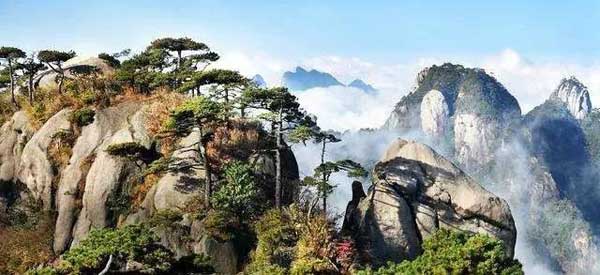 “小心地滑倒”？雷人翻譯終于有人管了，國家給出公共場所英譯標(biāo)準(zhǔn)答案！