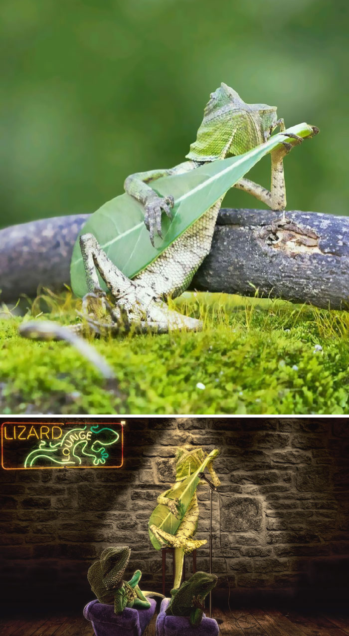 網(wǎng)絡(luò)PS大戰(zhàn)：誰是贏家？（組圖）