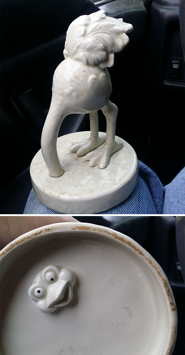 這些人的運氣真是好到爆！網(wǎng)友分享二手店淘到的寶（組圖）