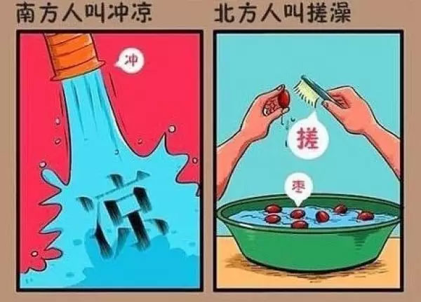 “南北差異”大討論：南方買(mǎi)菜買(mǎi)一頓，北方買(mǎi)菜買(mǎi)一噸？
