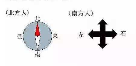 “南北差異”大討論：南方買(mǎi)菜買(mǎi)一頓，北方買(mǎi)菜買(mǎi)一噸？