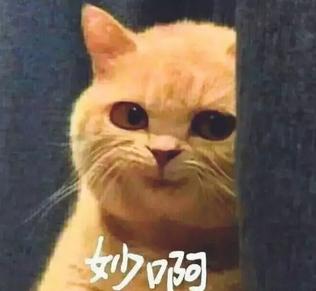揭秘各國(guó)兵哥哥的野戰(zhàn)口糧！看到韓國(guó)的，忍不住笑出了聲…