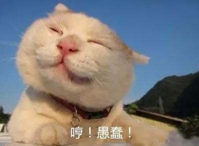 萬萬沒想到！七個讓你驚呼“厲害了”的冷知識