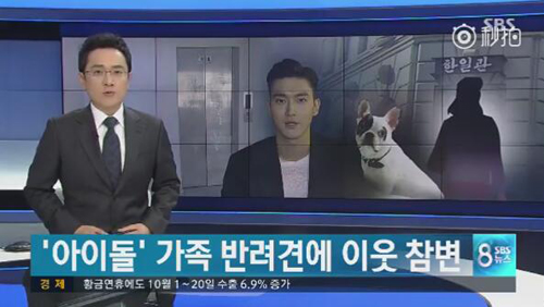 明星愛犬咬傷鄰居間接致其死亡，寵物不拴繩害人也害狗