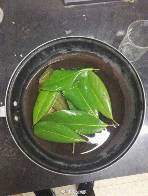 6000片樹葉做出美裙 原來他們是這么做到的！