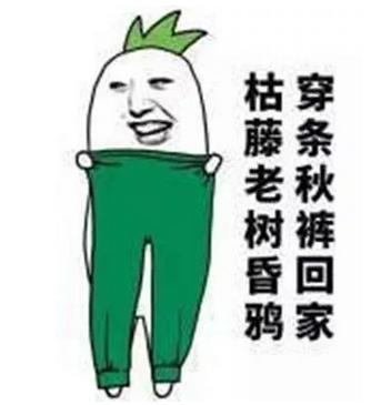 秋冬御寒指南：秋褲穿不穿，這是個(gè)問(wèn)題