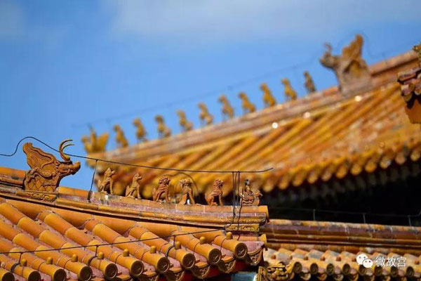 習(xí)近平特朗普同游故宮！那些讓特朗普驚嘆的殿、樓、齋，用英文怎么說？