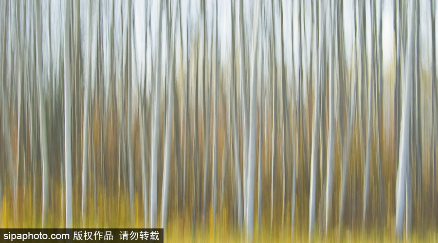 純凈的北方國(guó)度 加拿大冬日風(fēng)光（組圖）