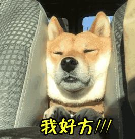 支付寶年度賬單挖了個大坑，你也不慎掉進(jìn)去了嗎？