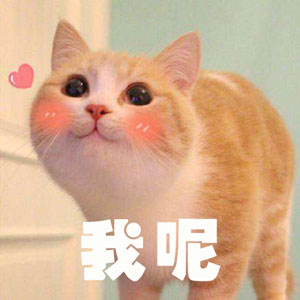 調(diào)查顯示狗奴比貓奴賺得多，你覺得準(zhǔn)嗎？