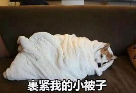 寒潮侵襲！英國(guó)人如臨大敵，卻遭北歐加拿大網(wǎng)友無(wú)情嘲笑