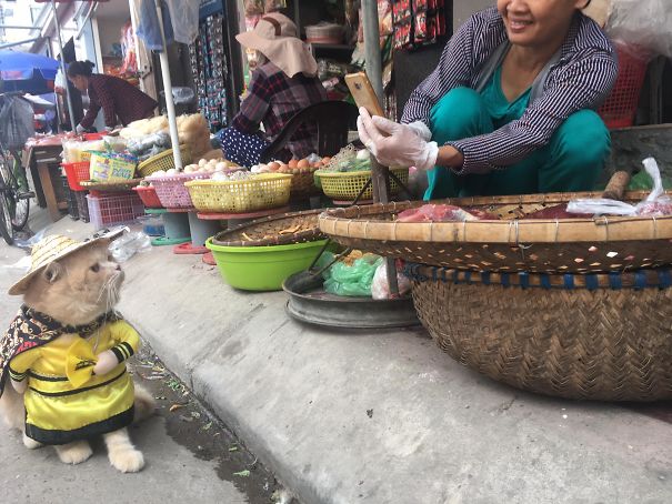 來(lái)會(huì)會(huì)越南最萌的魚販子（組圖）