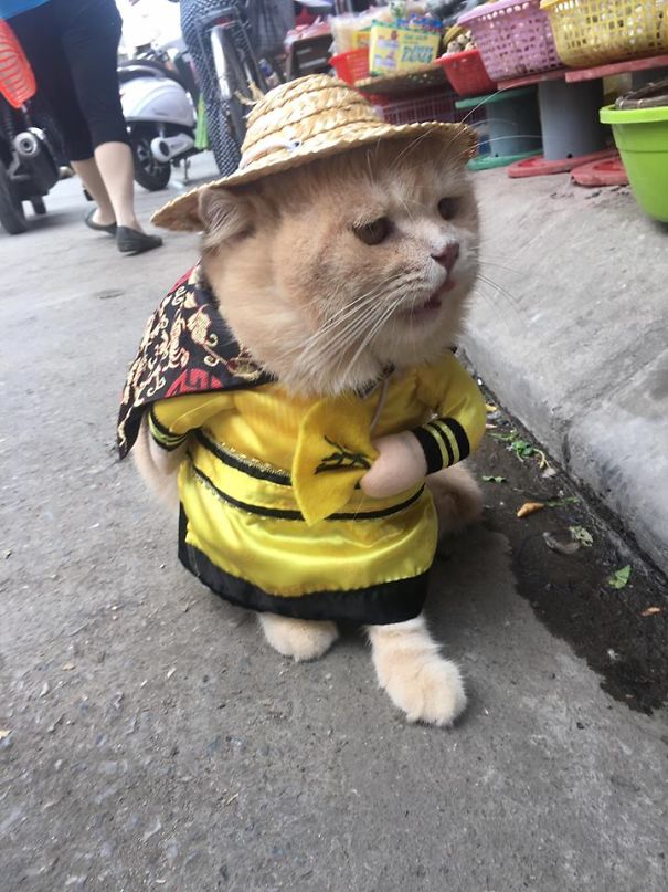來(lái)會(huì)會(huì)越南最萌的魚(yú)販子（組圖）