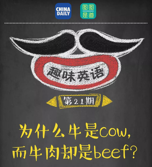 為什么牛是cow，而牛肉卻是beef？