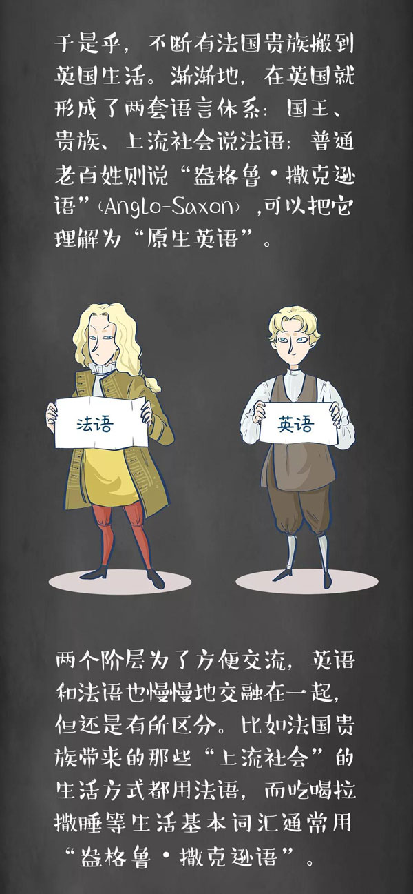 為什么牛是cow，而牛肉卻是beef？