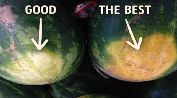 西瓜好不好靠敲？專家教你如何挑西瓜