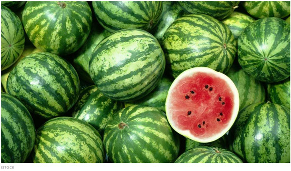 西瓜好不好靠敲？專家教你如何挑西瓜