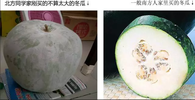 “南北差異”大討論：南方買(mǎi)菜買(mǎi)一頓，北方買(mǎi)菜買(mǎi)一噸？
