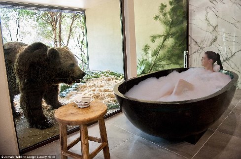 旅館？動物園？這是澳大利亞加馬拉野生動物旅館！