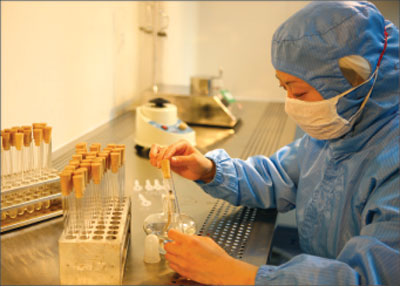 Diverse economy boosts Hubei GDP