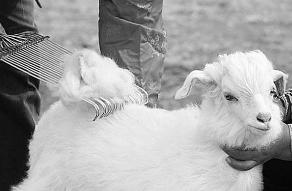 Stealth wealth fabrics