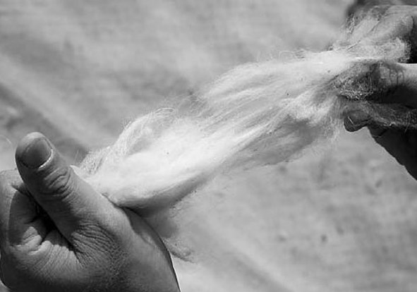 Stealth wealth fabrics