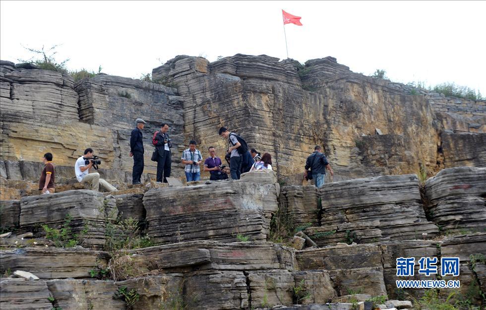 走近“羅平生物群” 距今約2.38億年至2.39億年(圖)