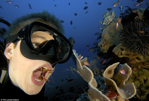 聰明男孩模仿魚類 潛入水張嘴露齒讓蝦潔牙(圖)