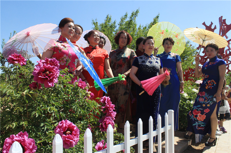 Peony festival opens in Ordos