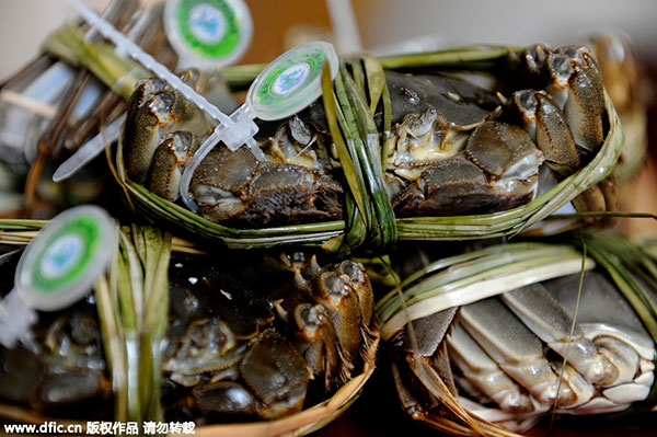 Dog lover throws a birthday party for her dog