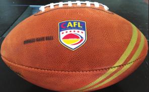 Nascent China Arena Football League holding first scouting combines