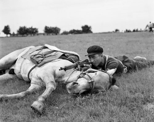《百名攝影記者聚焦中國(guó)》畫冊(cè)首發(fā)式在京舉行